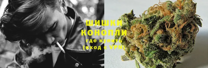 Бошки марихуана SATIVA & INDICA  дарк нет какой сайт  Красноперекопск 